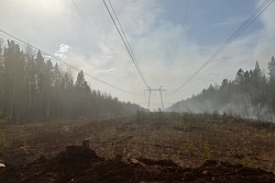  В Усть-Кутском районе борются с крупным лесным пожаром, возникшим по вине человека