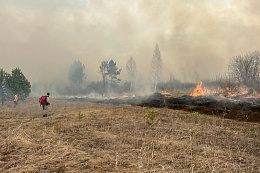 В Усть-Кутском районе потушен 1 лесной пожар