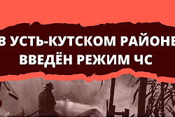 В Усть-Кутском районе введён режим чрезвычайной ситуации в связи с осложнением пожарной обстановки. 