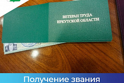 Как получить звание «Ветеран труда» в Иркутской области?