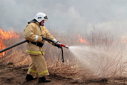 За минувшие сутки в лесном фонде в Иркутской области ликвидировано 12 пожаров