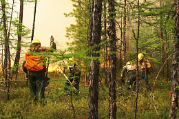 За минувшие сутки площадь действующих лесных пожаров в Иркутской области сократилась больше чем в два раза