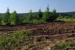 Фотоловушки в местах ликвидированных несанкционированных свалок установят в лесах Иркутской области
