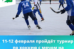В Усть-Куте с 11 по 12 февраля пройдёт традиционный турнир по хоккею с мячом «Кубок имени Петра Горячева»
