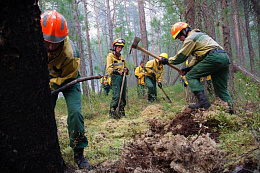 На утро 29 июня в Иркутской области действовало восемь новых лесных пожаров на площади 41,7 га