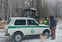 В Иркутской области началась оперативно-профилактическая операция «Колея»