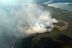 В тринадцати районах Иркутской области прогнозируется чрезвычайная пожароопасность лесов 30 мая