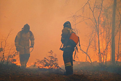 За минувшие сутки в лесном фонде в Иркутской области ликвидировано 12 пожаров