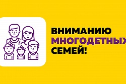 Более 20 тысяч многодетных семей Иркутской области получают дополнительную финансовую поддержку