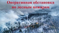 Оперативная обстановка по лесным пожарам на утро 05 августа 2019 г.