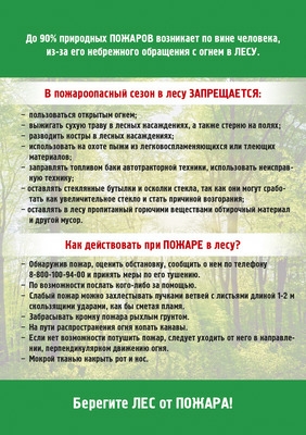 Берегите лес от пожара! 