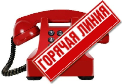 О проведении «горячей линии» на тему «Продали алкоголь несовершеннолетнему-позвони!» 
