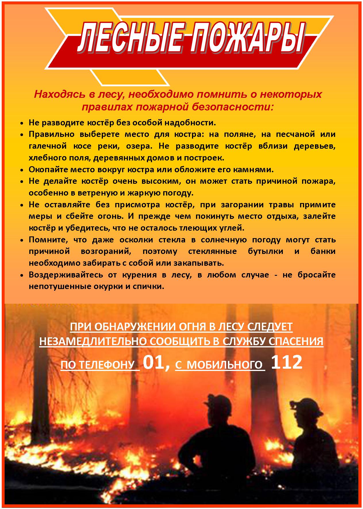 Берегите лес от пожара! 