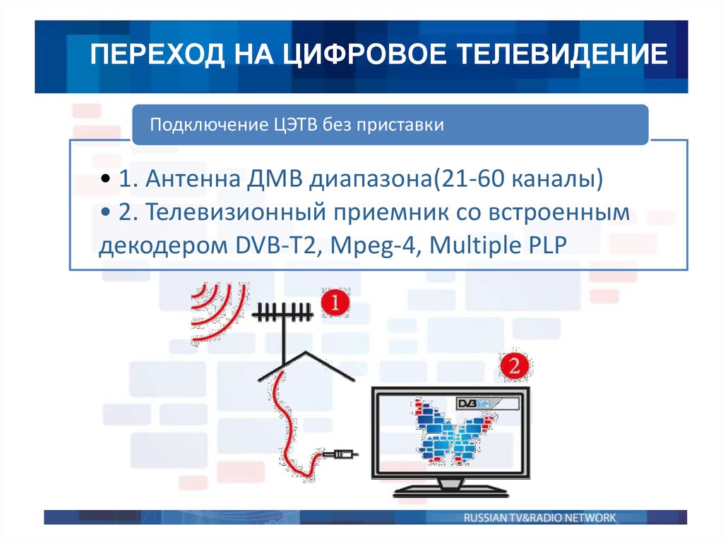 slide-5.jpg