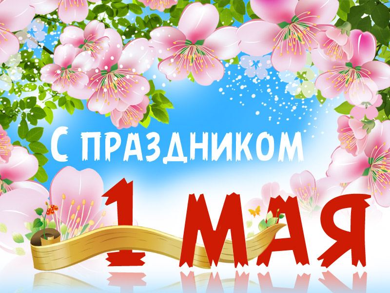 1_maya_2015_2.jpg 1_maya_2015_2.jpg