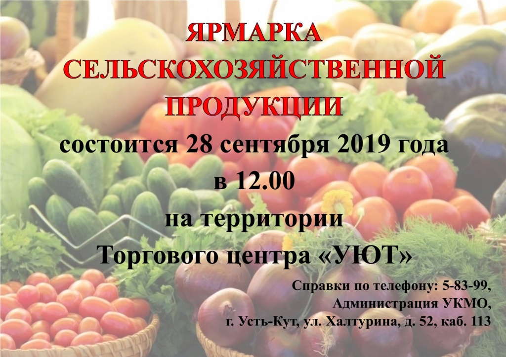 Ярмарка.jpg
