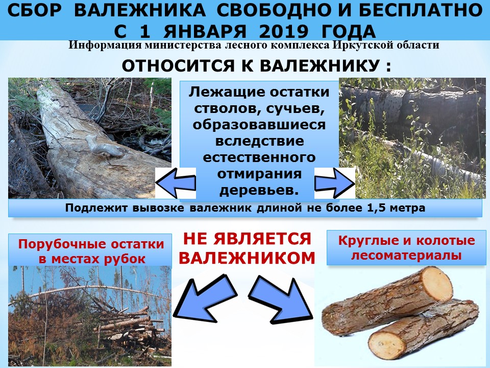 Валежник_.jpg