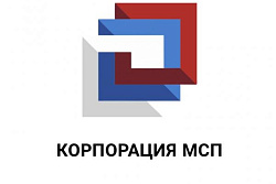Вебинар по разъяснению реализации антикризисных мер поддержки СМСП