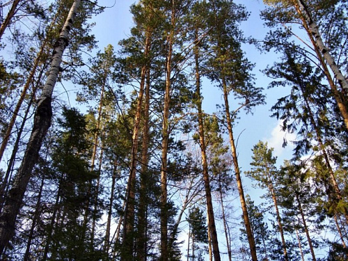 Общие фотографии