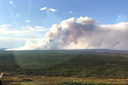 В Иркутской области сегодня действует один лесной пожар
