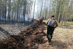 За три выходных дня в лесах Приангарья было ликвидировано восемь пожаров