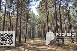 Что делать, если случился пожар? Подробные разъяснения Росреестра Приангарья