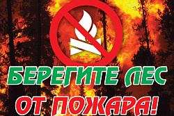 С 2 июля по 7 июля 2019 года действует ограничение на пребывание граждан в лесах.