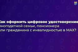 Подтвердить льготы многодетной семьи можно через приложение МАХ