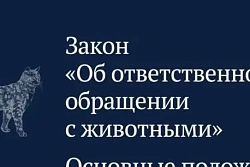  С 25 июля в Иркутской области — новые штрафы для владельцев животных