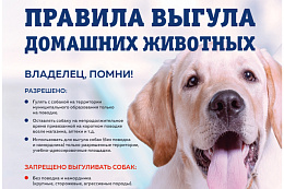Правила выгула собак 