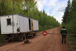 В Иркутской области продлили ограничение на посещение лесов