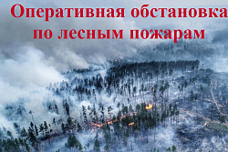 Оперативная обстановка по лесным пожарам на утро 01 августа 2019 г.
