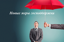 Правительство запускает антикризисные меры поддержки малого и среднего бизнеса