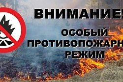 В Усть-Кутском районе введён особый противопожарный режим
