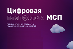 Официальный анонс сервиса «Поддержка предпринимателей в сфере туризма» на Цифровой платформе МСП.РФ