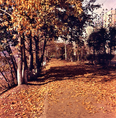 Общие фотографии