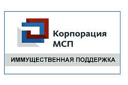 Имущественная поддержка малого и среднего предпринимательства, самозанятых граждан