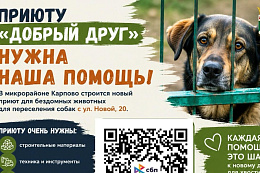 Приюту для бездомных животных «Добрый друг» нужна помощь устькутян