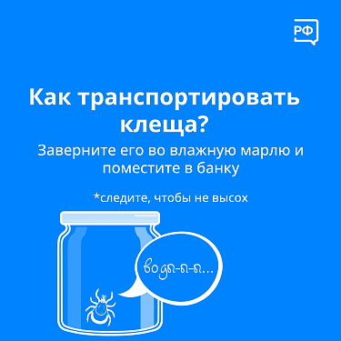Осторожно! Клещ!