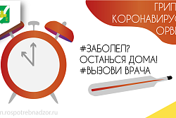 Что делать, если в семье кто-то заболел гриппом или коронавирусной инфекцией?