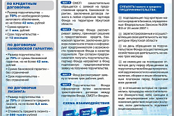 ФОНД ПОДДЕРЖКИ СУБЪЕКТОВ МАЛОГО И СРЕДНЕГО ПРЕДПРИНИМАТЕЛЬСТВА  «ИРКУТСКИЙ ОБЛАСТНОЙ ГАРАНТИЙНЫЙ ФОНД»