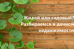 Жилой дом или садовый – разбираемся в дачной недвижимости.