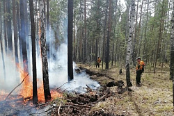 В Иркутской области накануне ликвидировали один лесной пожар
