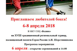 Турнир по боксу