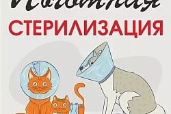 Информация по льготной кастрации  и стерилизации животных