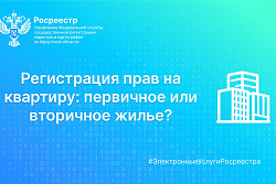 Регистрация прав на квартиру: первичное или вторичное жилье?