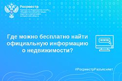 Где бесплатно найти официальную информацию о недвижимости?