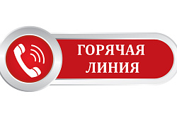 «Горячая линия» на тему «Продали алкоголь и пиво ночью-сообщи»