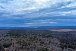 С 29 по 31 мая в лесном фонде в Иркутской области ликвидировали восемь возгораний