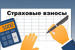 Более 240 самозанятых жителей Иркутской области самостоятельно направляют страховые взносы в СФР для формирования будущей пенсии